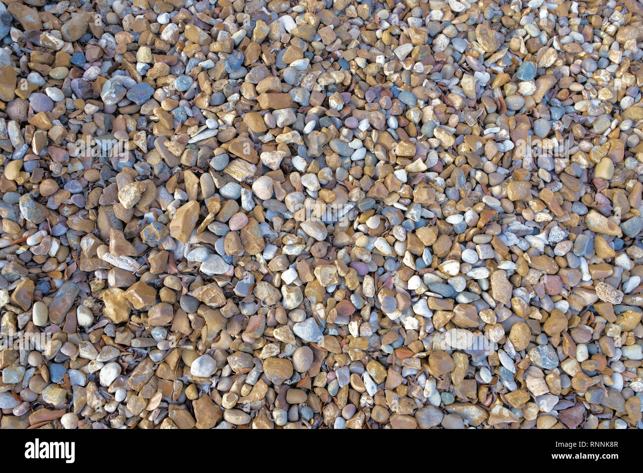 Kies Bodendecker; mehrfarbige Stein bestehend aus Grau, Beige, Schiefer und Braun; reibungslose Fluss Stein oder Kies; Tapeten oder Hintergrund. Stockfoto