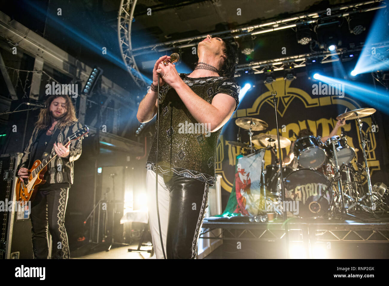 Glasgow, Schottland, Großbritannien. 19 Feb, 2019. Englisch wippen die Streben es Glam bis in die Garage. Credit: Stuart Westwood/Alamy leben Nachrichten Stockfoto