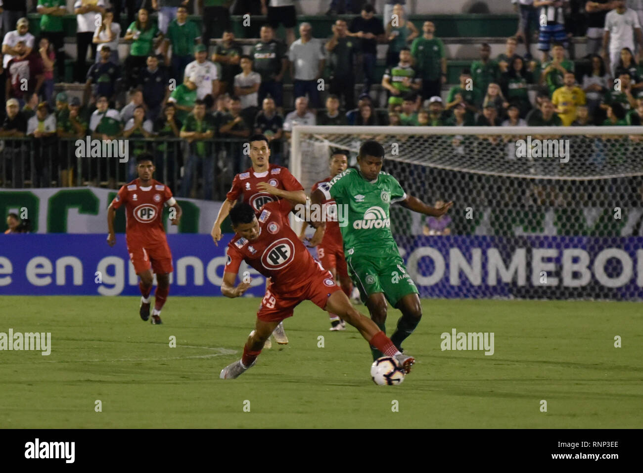 SC-Split - 19/02/2019 - Chapecoense x Union La Calera - player Marcio Araujo von Chapecoense Streit Angebot mit player Walter Bou von Union la Calera während Arena Conde, die für die Meisterschaft 2019 South American Cup Foto: Fom Conradi/AGIF Stockfoto