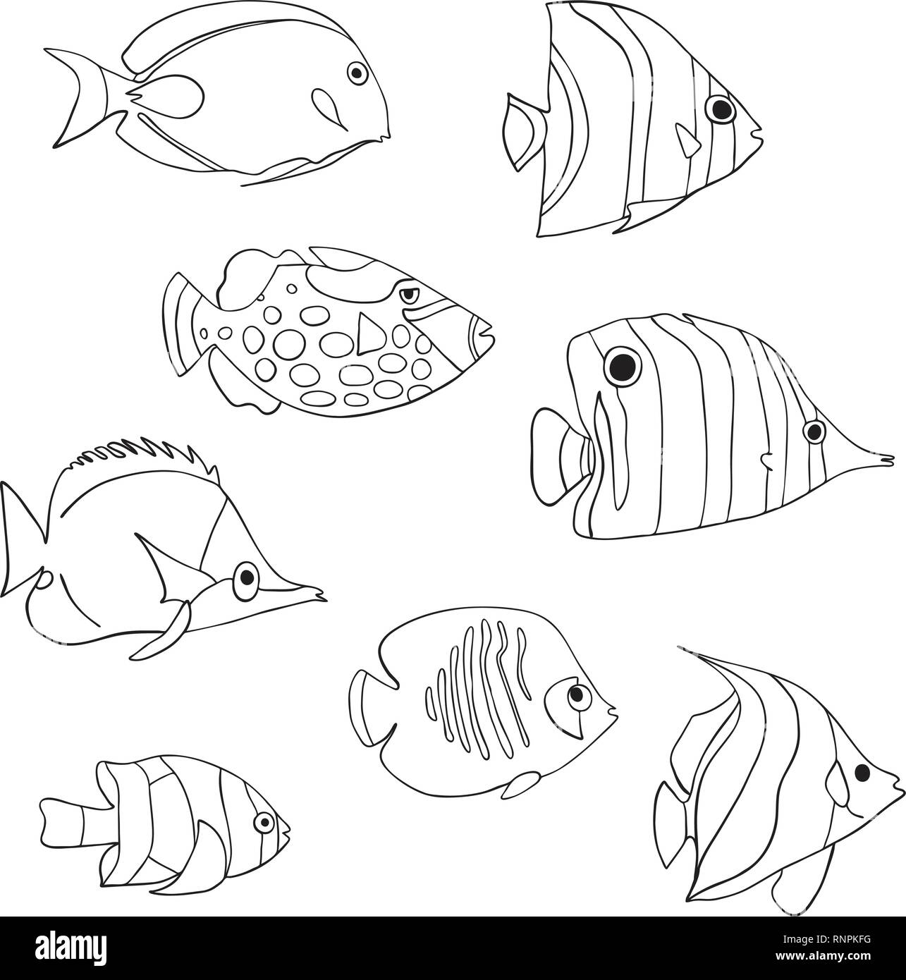 Tropische Fische Icon Set Vektor Isoliert Zeichen Falterfische Clown Druckerfisch Dirne Anemonenfischen Kaiserfische Clownfisch Schwarz Weiss Hand Marine Unterwasser Doodle Tiere Gezeichnet Malbuch Stock Vektorgrafik Alamy