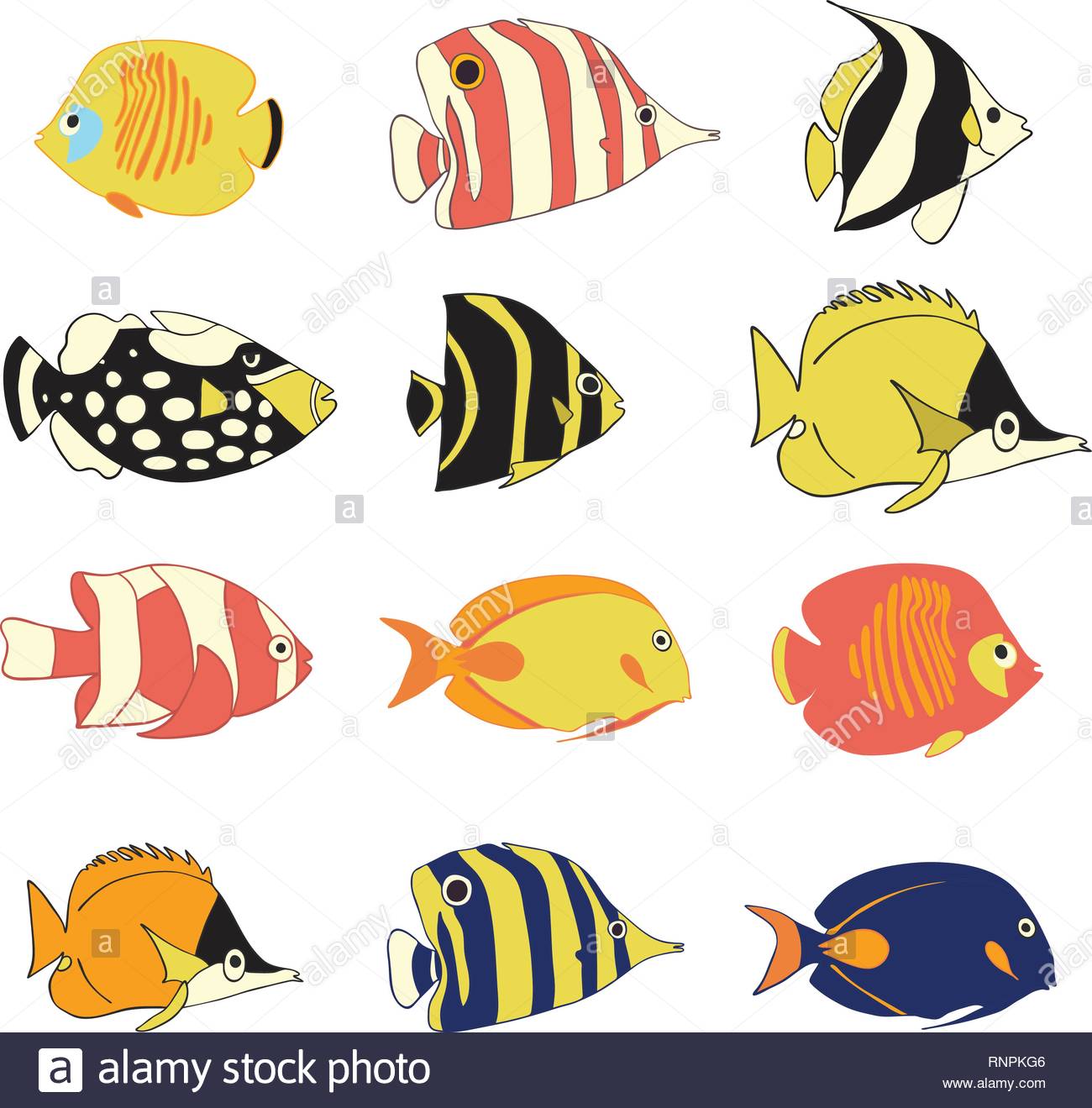 Vektor Icon Set Tropischen Rifffischen Vektor Isoliert Exotische Fische Zeichen Bunte Schmetterlingsfische Clown Druckerfisch Dirne Anemonenfischen Kaiserfische Clownfisch Hand Marine Unterwasser Tiere Stock Vektorgrafik Alamy