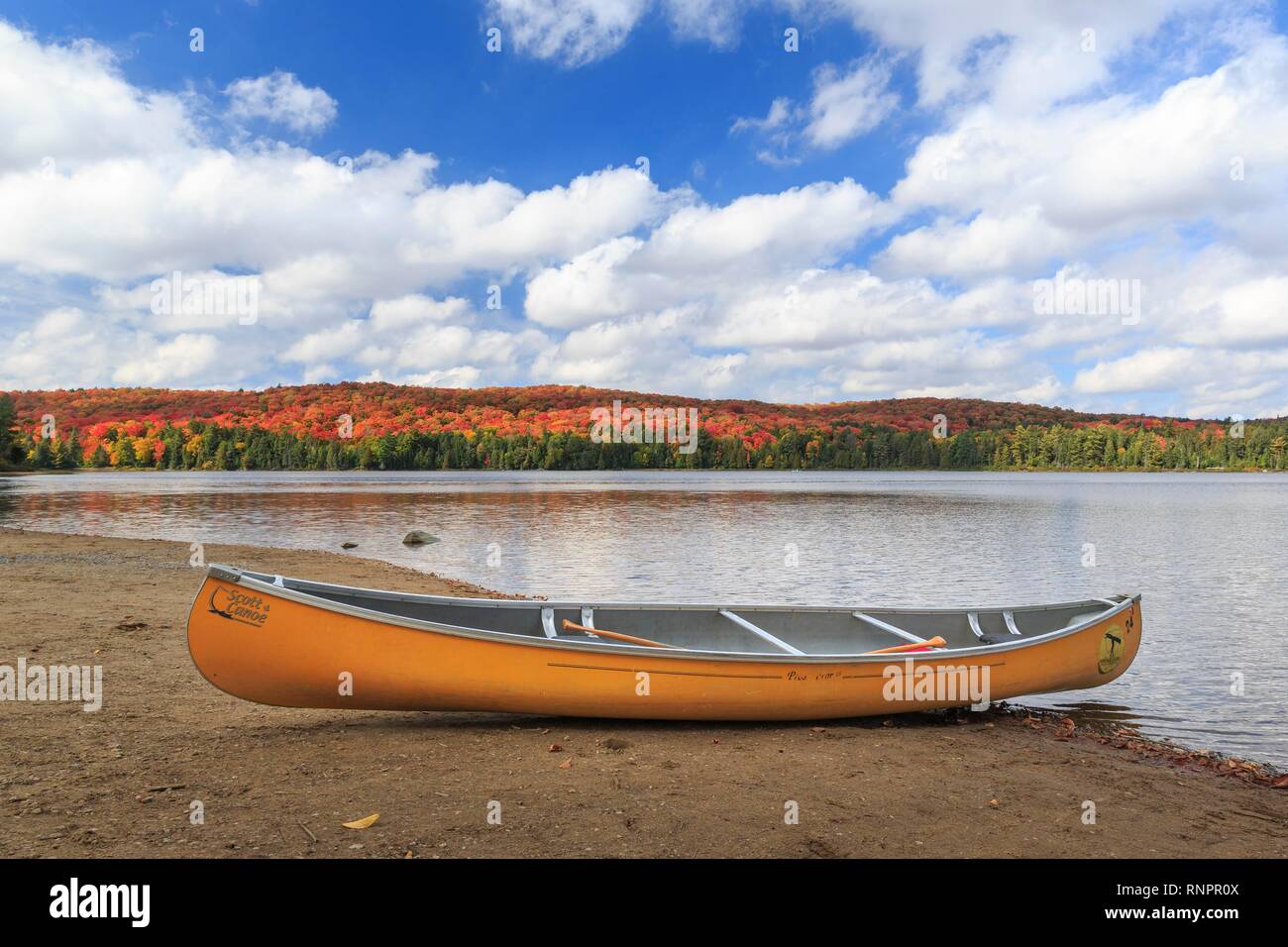 Kanufahren auf dem Ufer des Canisbay Lake im Herbst, Indian Summer, Algonquin Provincial Park, Ontario, Kanada, Nordamerika Stockfoto