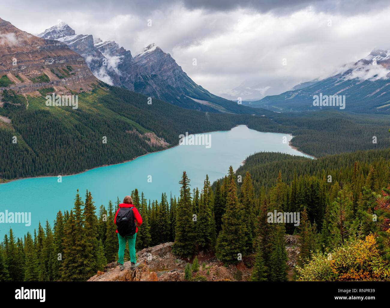 Wanderer mit Blick in die Natur, Türkis Lake, Peyto Lake, Rocky Mountains, Banff National Park, Alberta, Kanada, Nordamerika Stockfoto