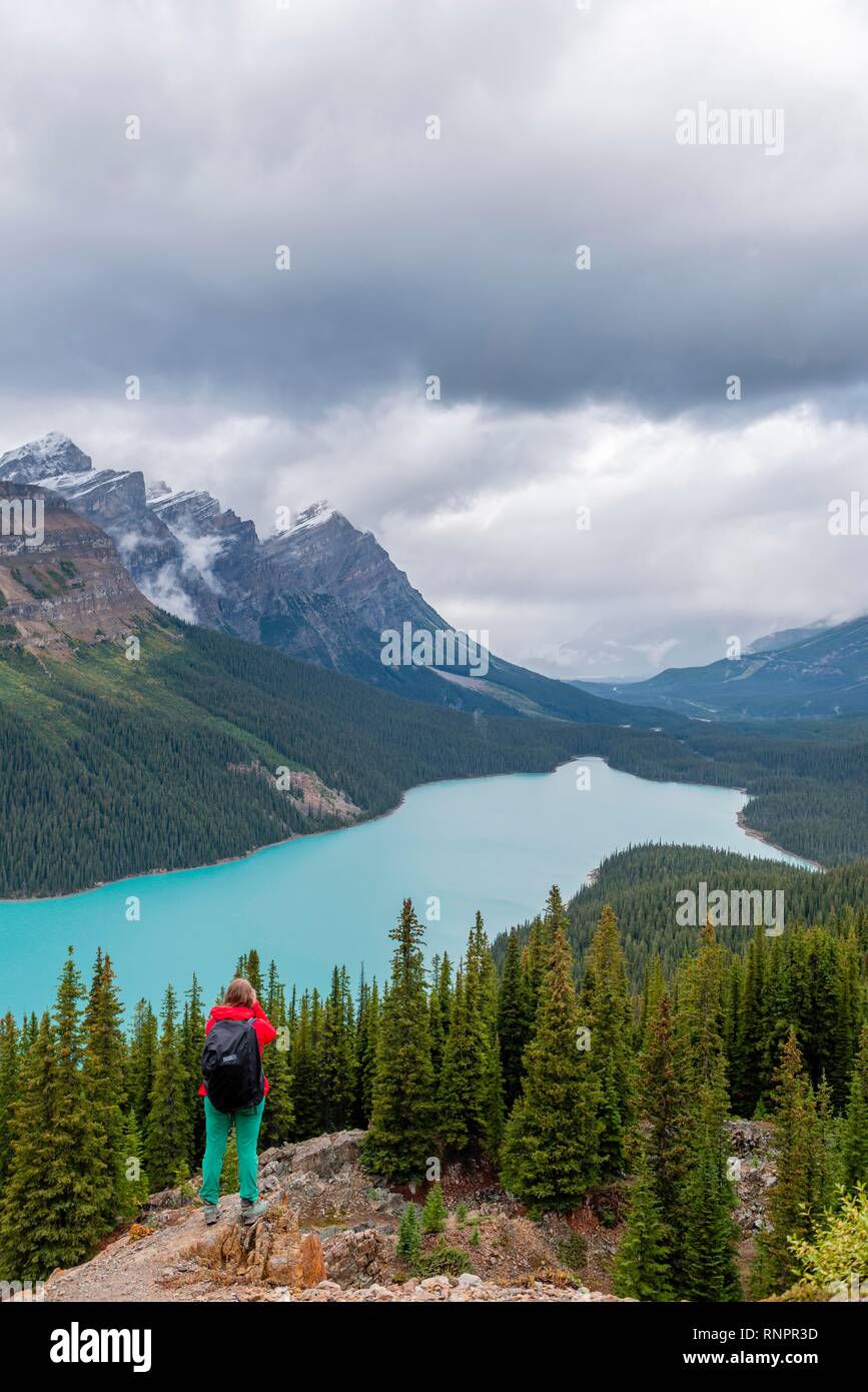 Wanderer mit Blick in die Natur, Türkis Lake, Peyto Lake, Rocky Mountains, Banff National Park, Alberta, Kanada, Nordamerika Stockfoto