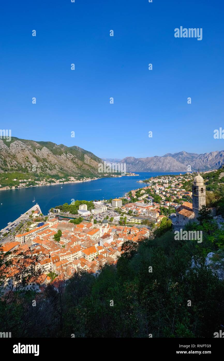 Altstadt von Kotor, Kirche Gospa od Zdravlja, Bucht von Kotor, Montenegro Stockfoto