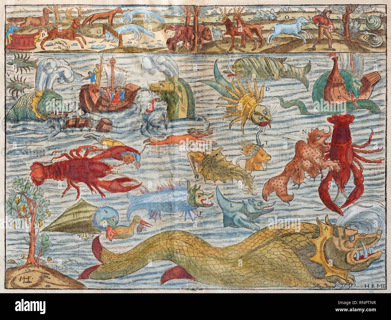 Fabeltiere und Fabelwesen, Landungeheuer und Meeresungeheuer, Hand - farbige Holzschnitt Cosmographia von Sebastian Münster von Stockfoto