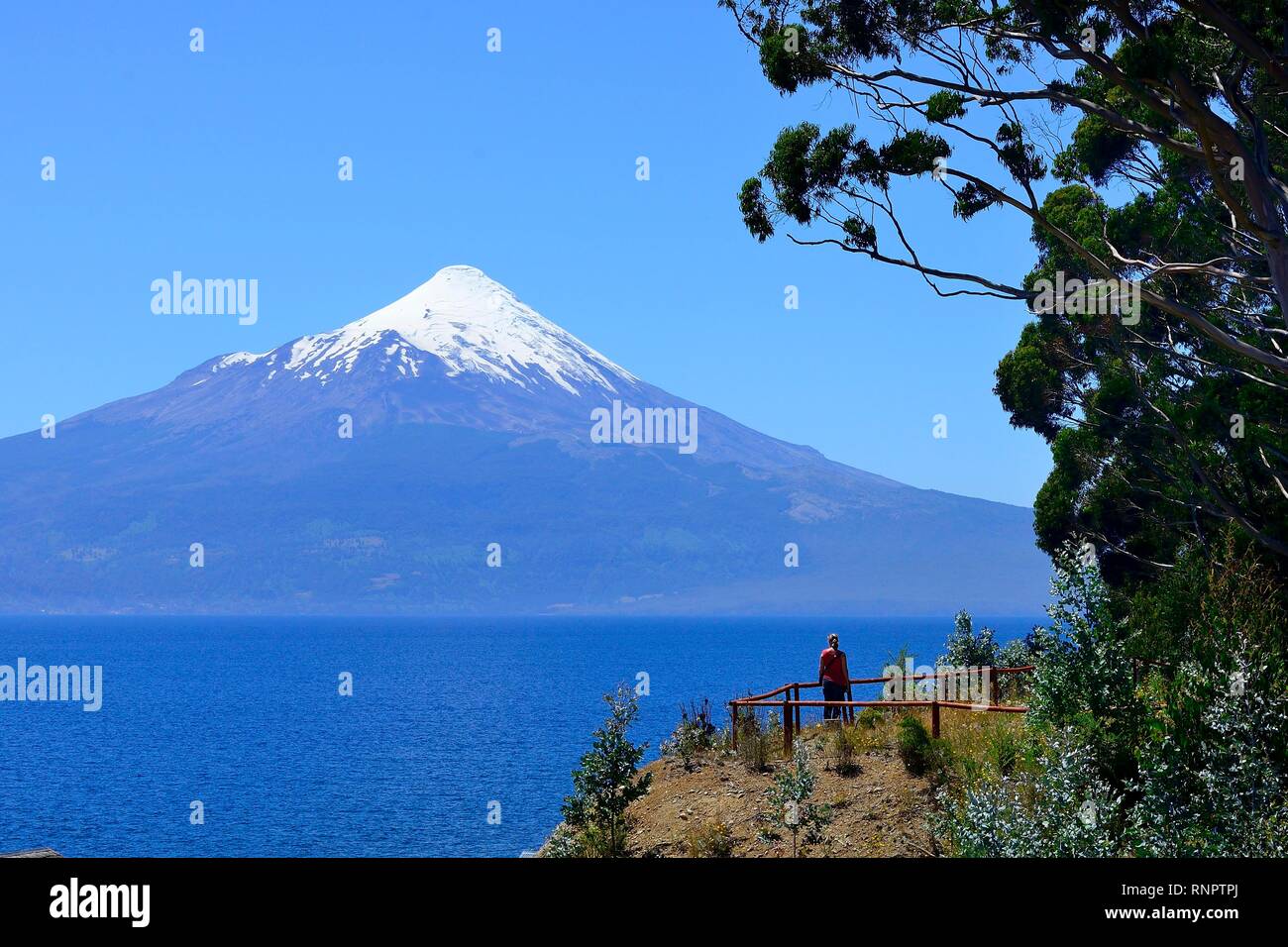 Vulkan Osorno mit Schnee Kappe am Lago Llanquihue, Región de los Lagos, Chile Stockfoto
