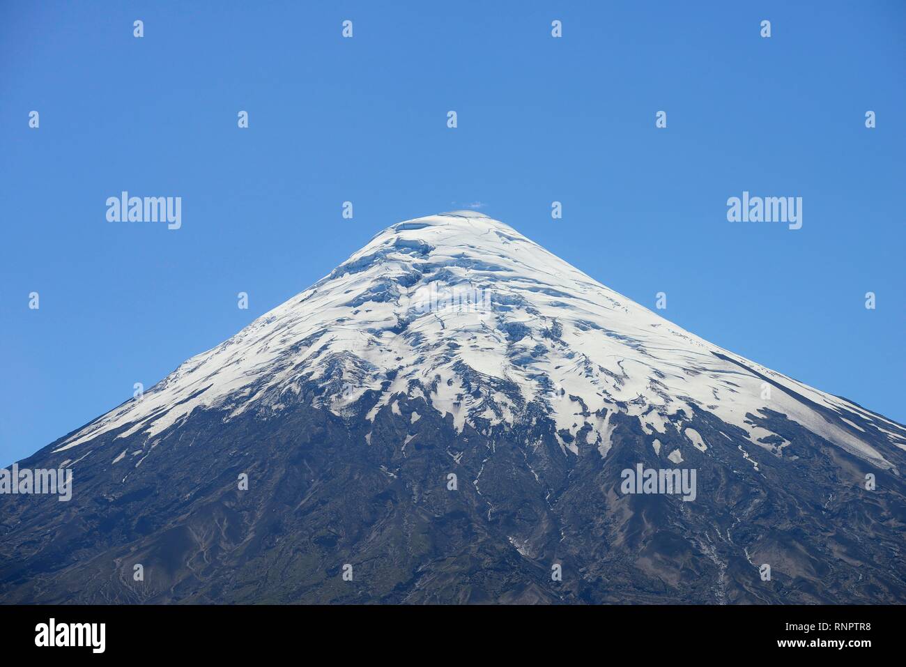 Gipfel, Osorno Vulkan mit Schnee Kappe, Región de los Lagos, Chile Stockfoto