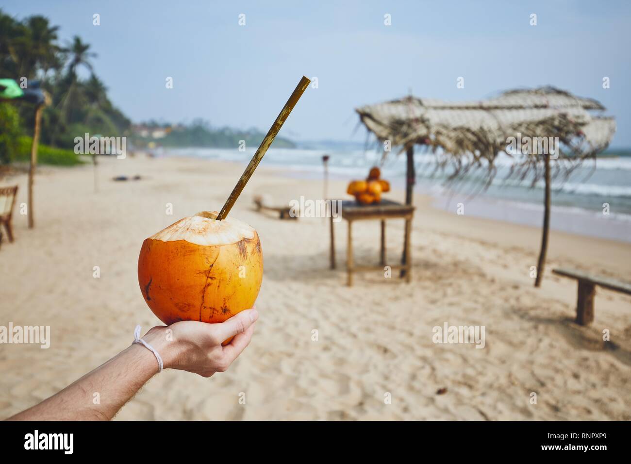 Die Hand des jungen Mannes holding Kokosnuss mit Bambus Stroh. Erfrischung am Strand. Matara, Sri Lanka Stockfoto