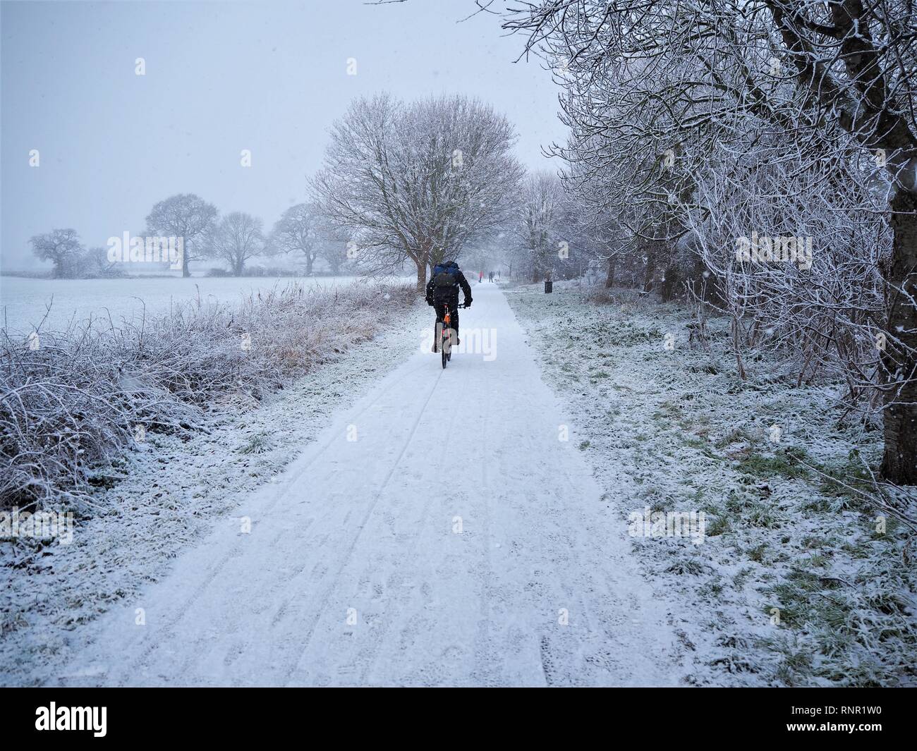 Radfahrer auf einer Spur durch Bäume und Felder in eine schneedusche in der Nähe von York, England Stockfoto