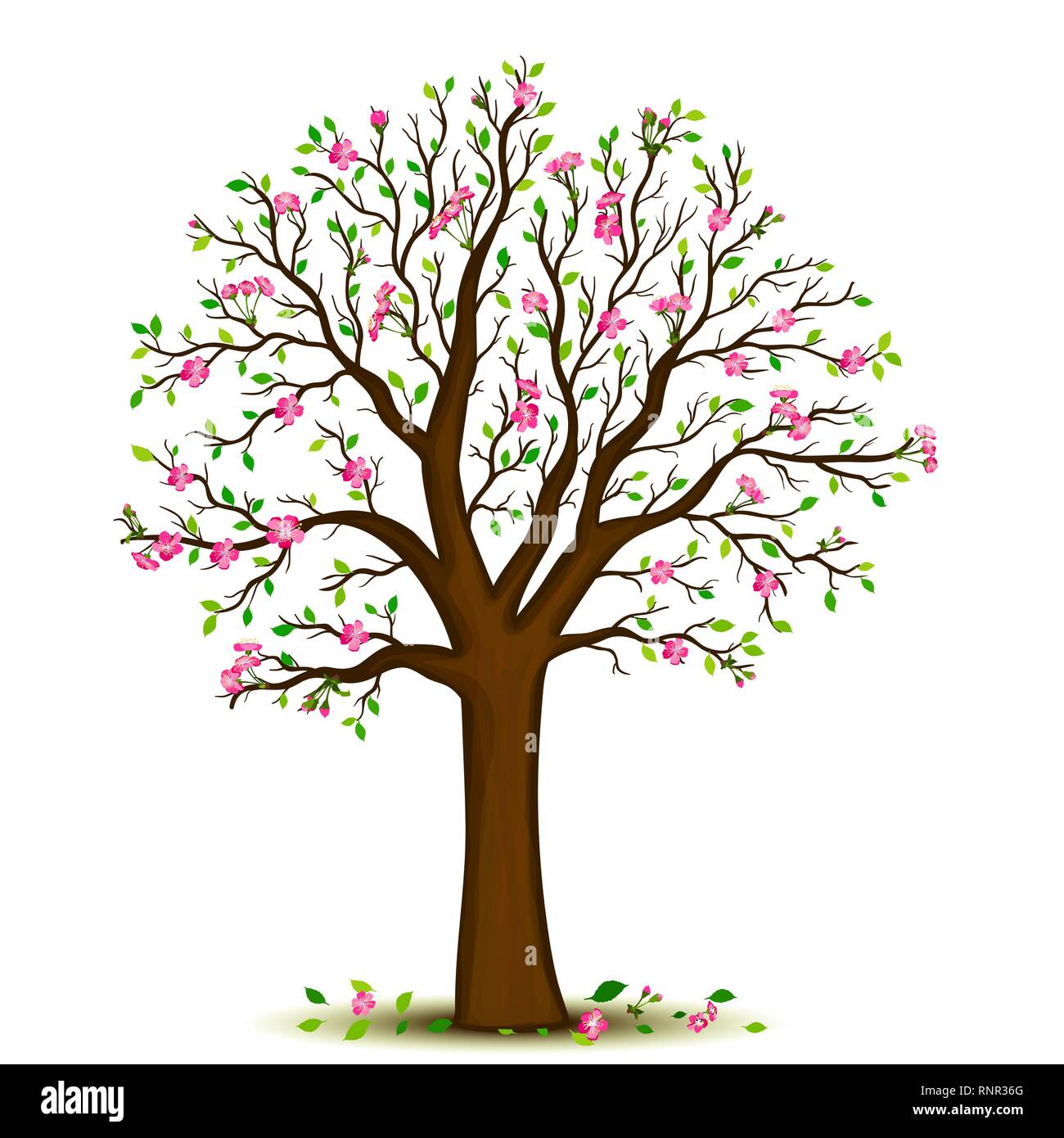 Fruhjahr Bluhenden Baum Vektor Stock Vektorgrafik Alamy