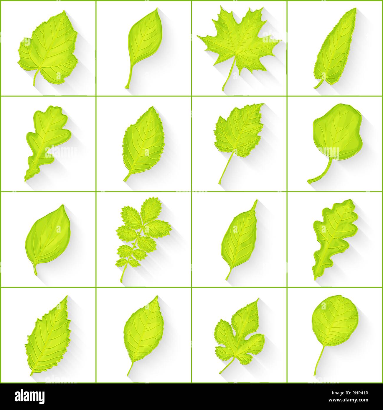 Der grüne Blätter auf weißem Hintergrund Vektor Stock Vektor