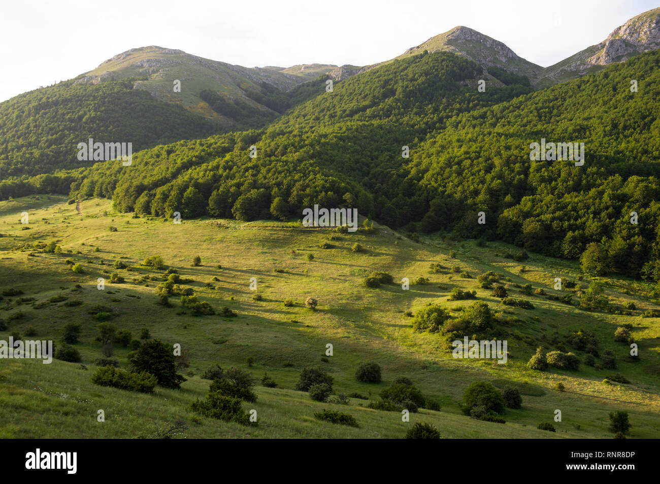 Üppige Berglandschaft, Galicica Nationalpark, Mazedonien Stockfoto