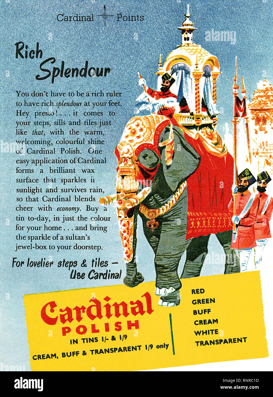 1955 britischen Werbung für Kardinal Polnisch. Stockfoto