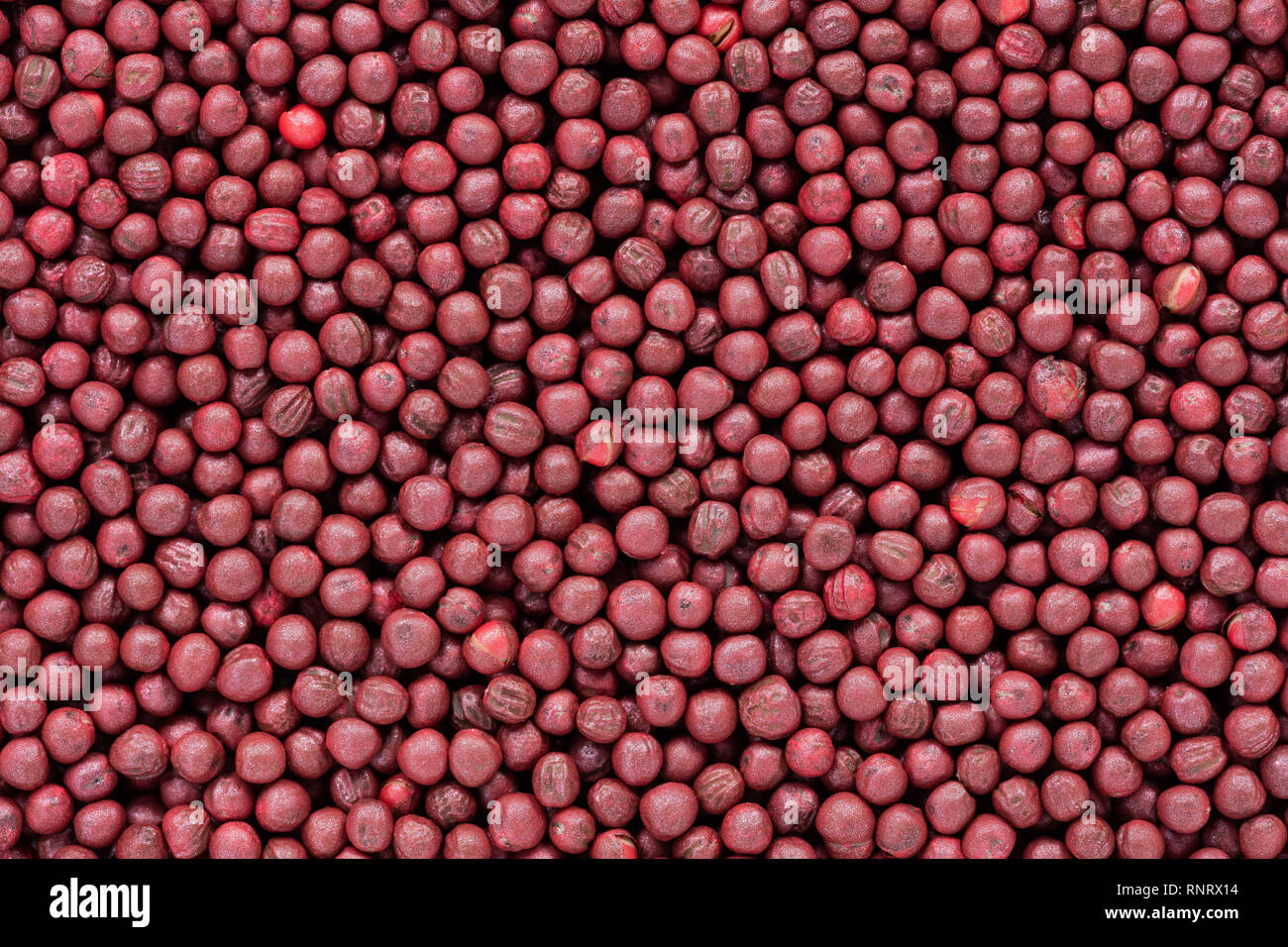 Hohe Qualität Samen von Kohl, Gemüse in eine Textur Formular für Ihre grünen Garten. Kann durch die Saatguthersteller verwendet werden. Stockfoto