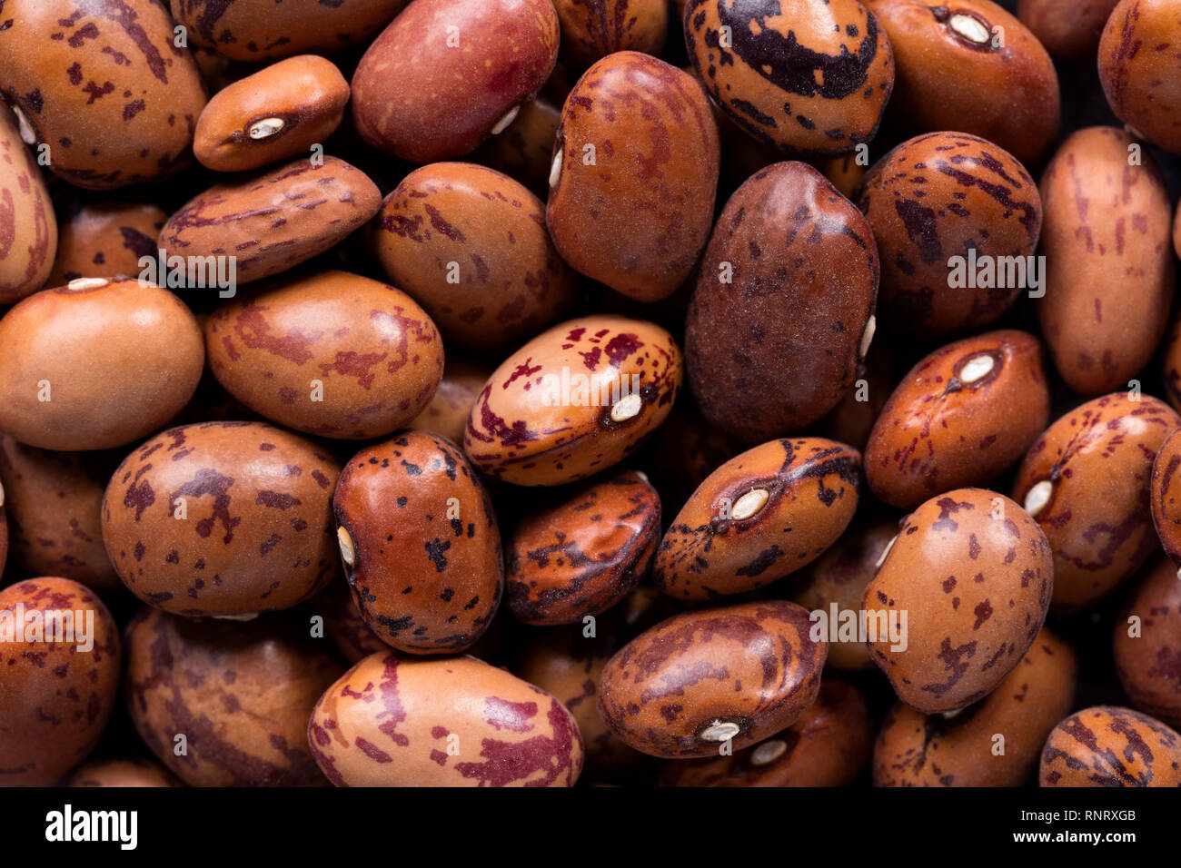 Hohe Qualität Samen der braune Bohnen, Hülsenfrüchte in eine Textur Formular für Ihren schönen Garten. Kann durch die Saatguthersteller verwendet werden. Stockfoto