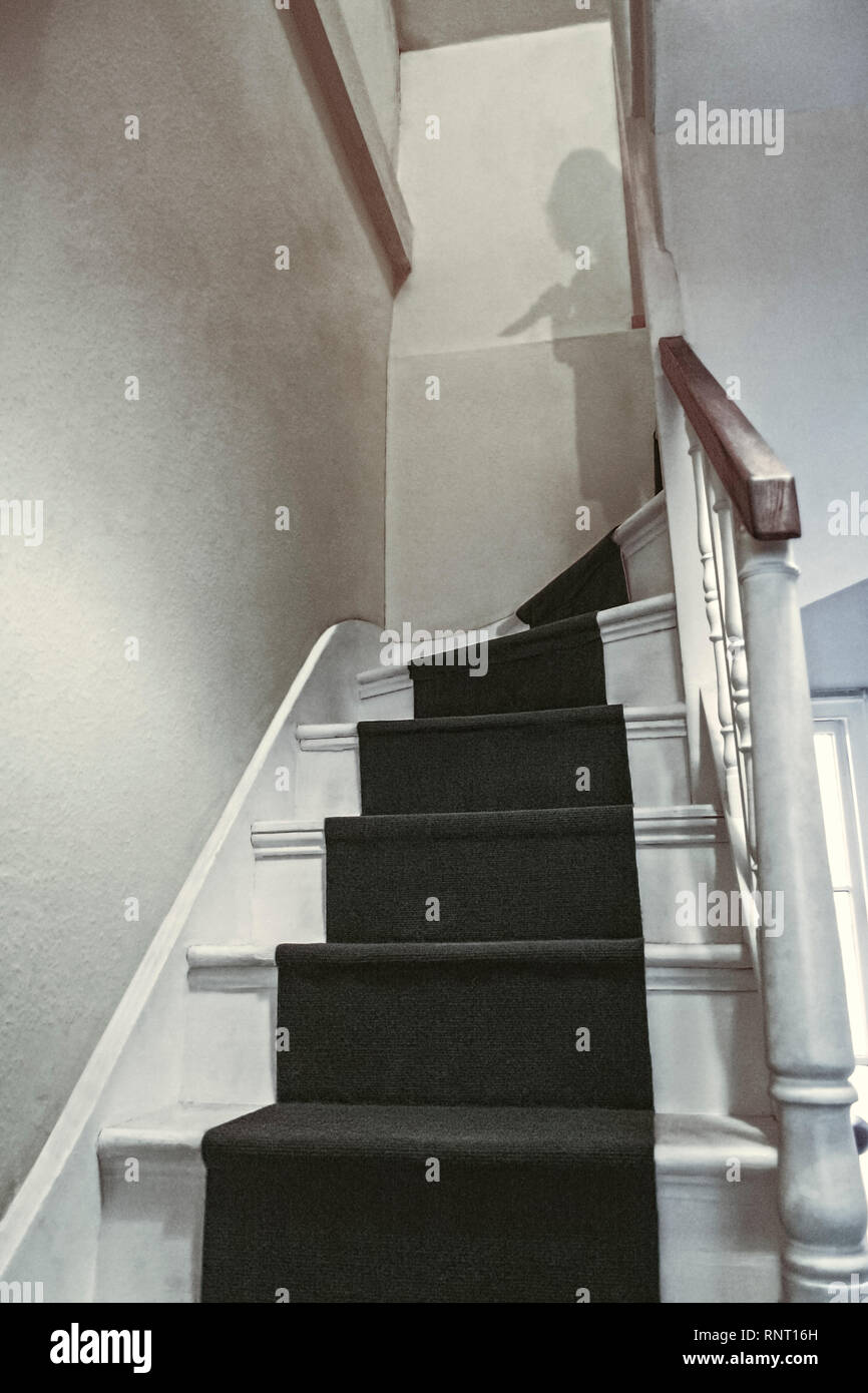 Buch Cover art Grafik Bild eines schattenhafte Gestalt, vielleicht mit einem Messer, der an der Spitze eines spooky Treppe zum Dachgeschoss Stockfoto