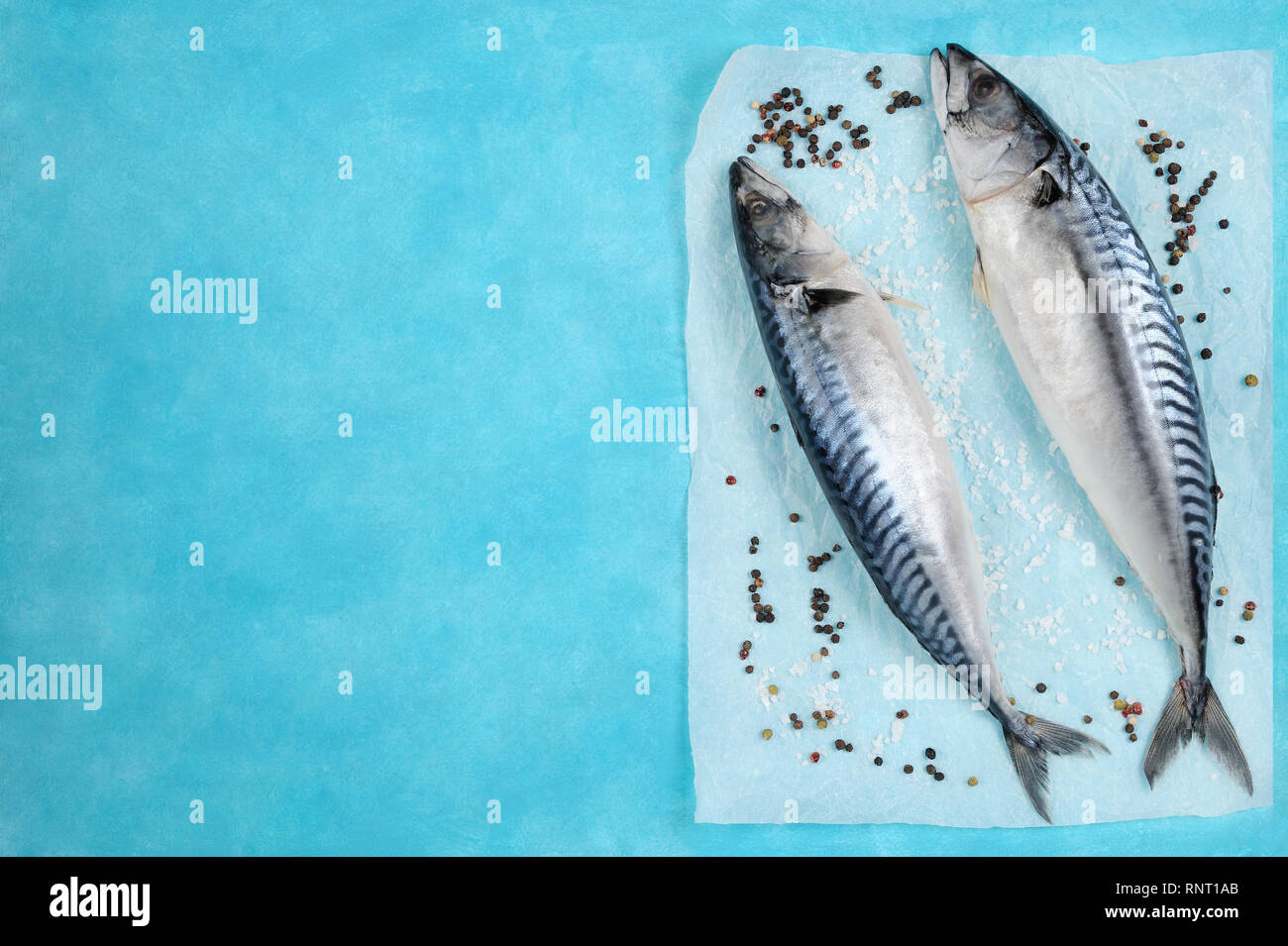 Kreative Gestaltung aus frisch gegarte Makrele mit Gewürzen auf einem Pergament Papier. Mediterrane Fischgerichte Konzept. Platz kopieren, horizontale Ausrichtung. Stockfoto