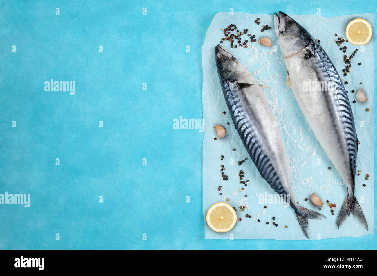 Kreative Gestaltung aus frisch gegarte Makrele mit Gewürzen auf einem Pergament Papier. Mediterrane Fischgerichte Konzept., horizontale Ausrichtung. Stockfoto