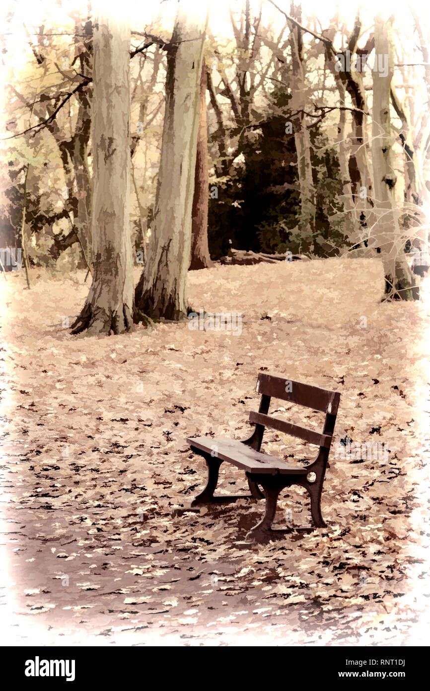 Sepia-getönten Bild eines leeren Parkbank in einem Herbst Waldgebiet Stockfoto