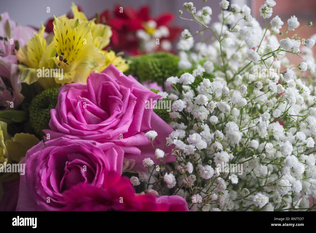 florale Komposition Stockfoto