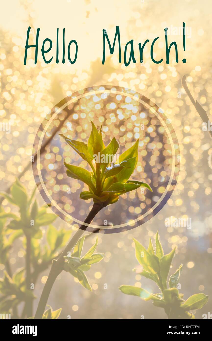 Grußkarte hallo März Welcome card Anfang des Frühlings. Grüße an den Frühling. Stockfoto