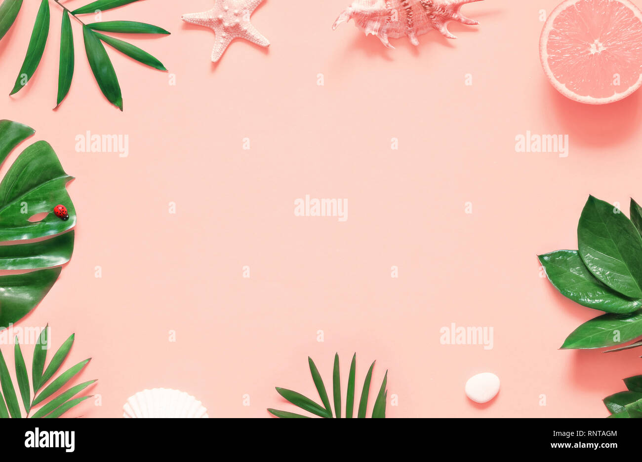 Tropischen Hintergrund. Palmen Filialen mit Seesternen und seashell auf rosa Hintergrund. Reisen. Kopieren Sie Platz. Stockfoto
