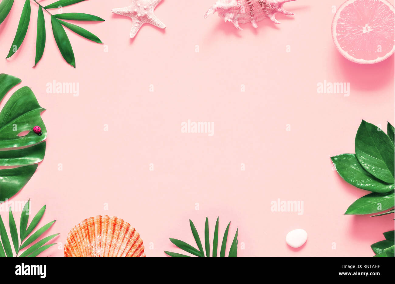 Tropischen Hintergrund. Palmen Filialen mit Seesternen und seashell auf rosa Hintergrund. Reisen. Kopieren Sie Platz. Stockfoto