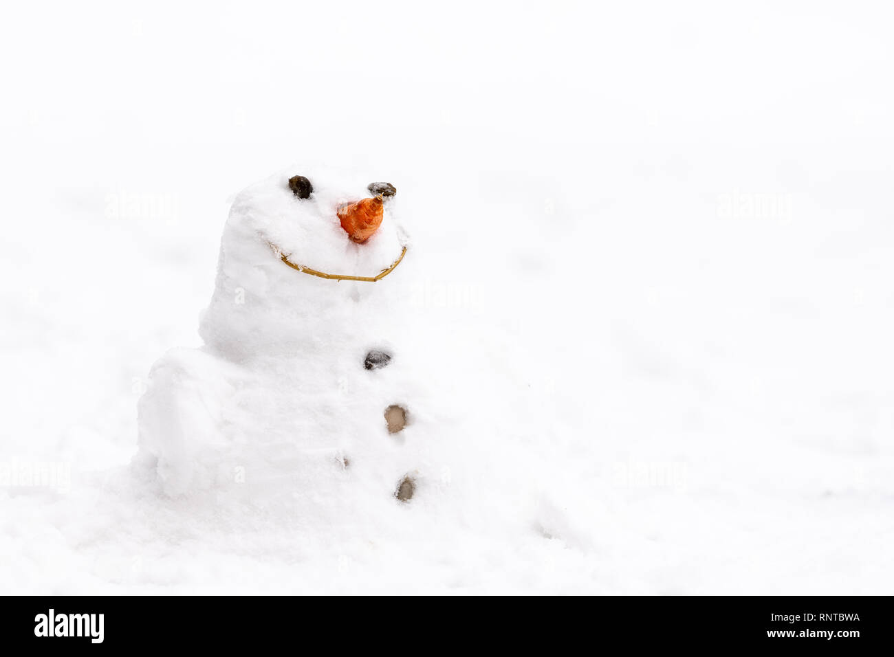 TOYANDONA 100 Stück Schneemann-Nasen Aus Kunststoff - DIY Karottennasen Für Weihnachtsdekoration