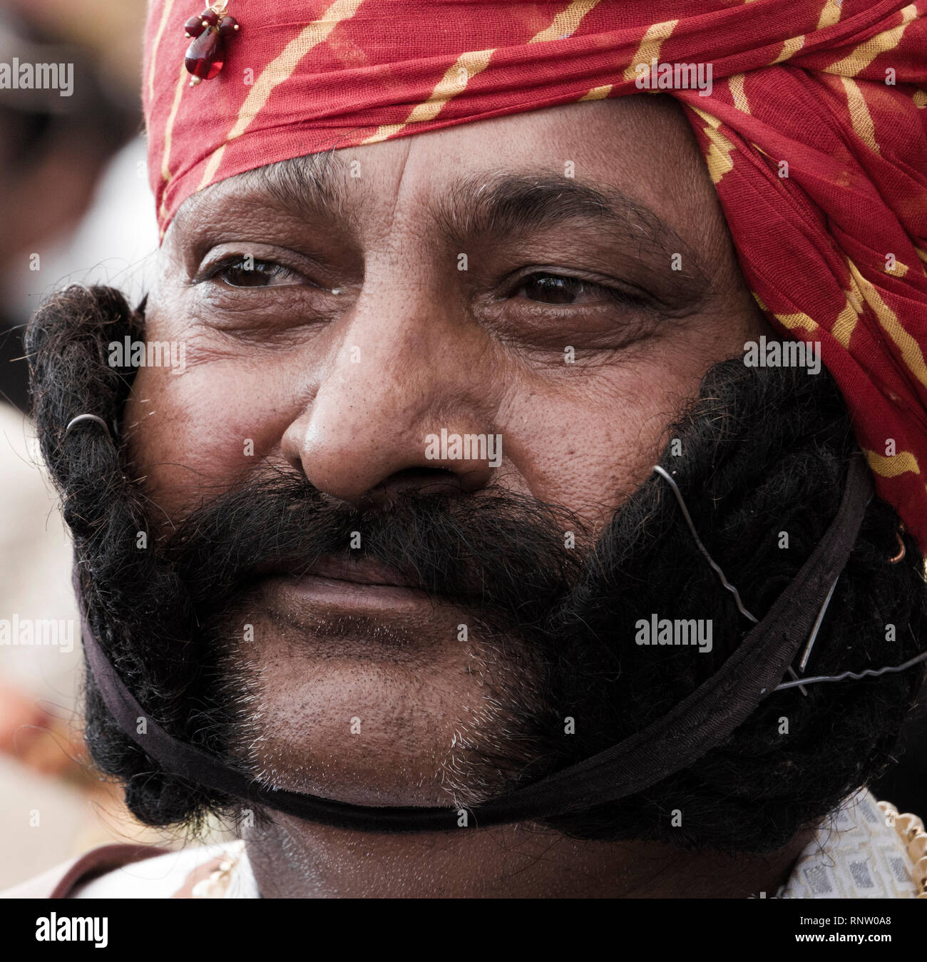 Inder für Schnurrbart Wettbewerb in Pushkar Camel Fair in Rajasthan, Indien posing Stockfoto