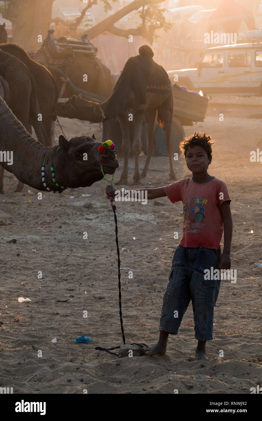 Junge folgende in Pushkar Camel Fair in Rajasthan zu Kamel Posing, Indien Stockfoto