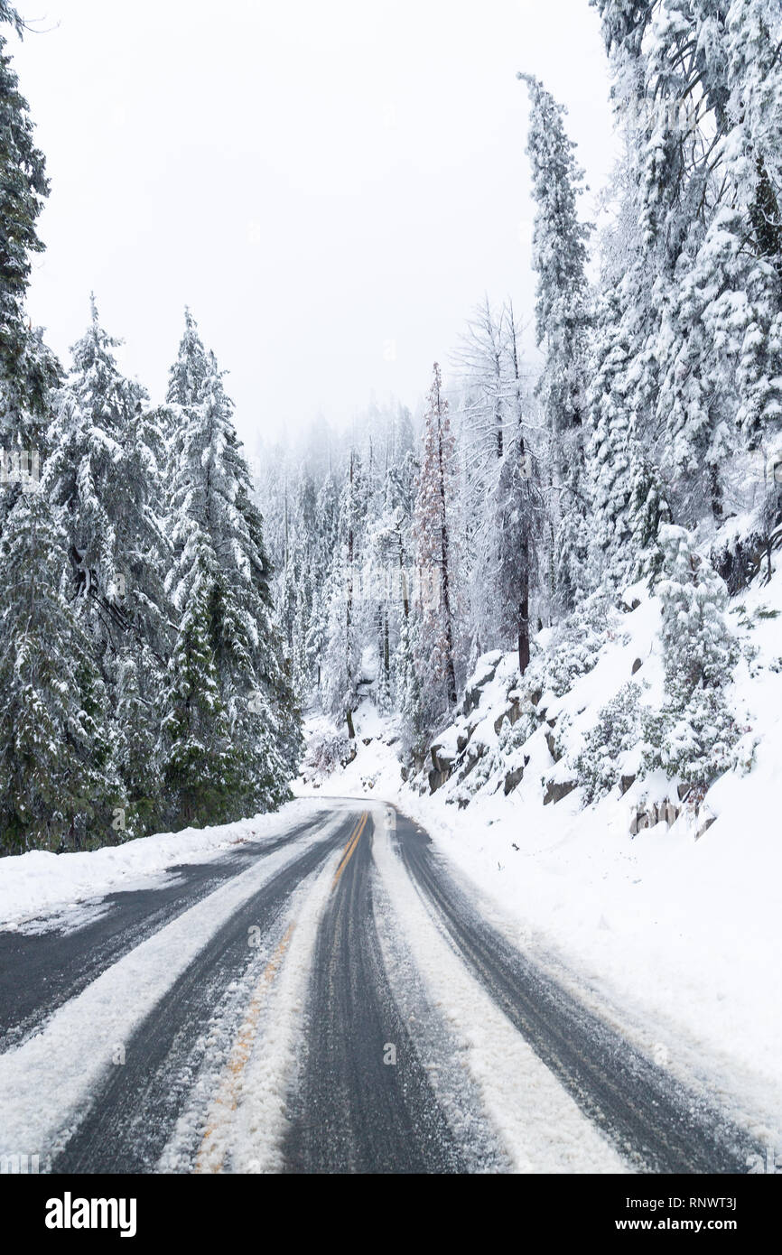 Schnee und eisigen Straßenverhältnissen auf SR 190 nach einem Wintersturm im Sequoia National Monument, Kalifornien Stockfoto