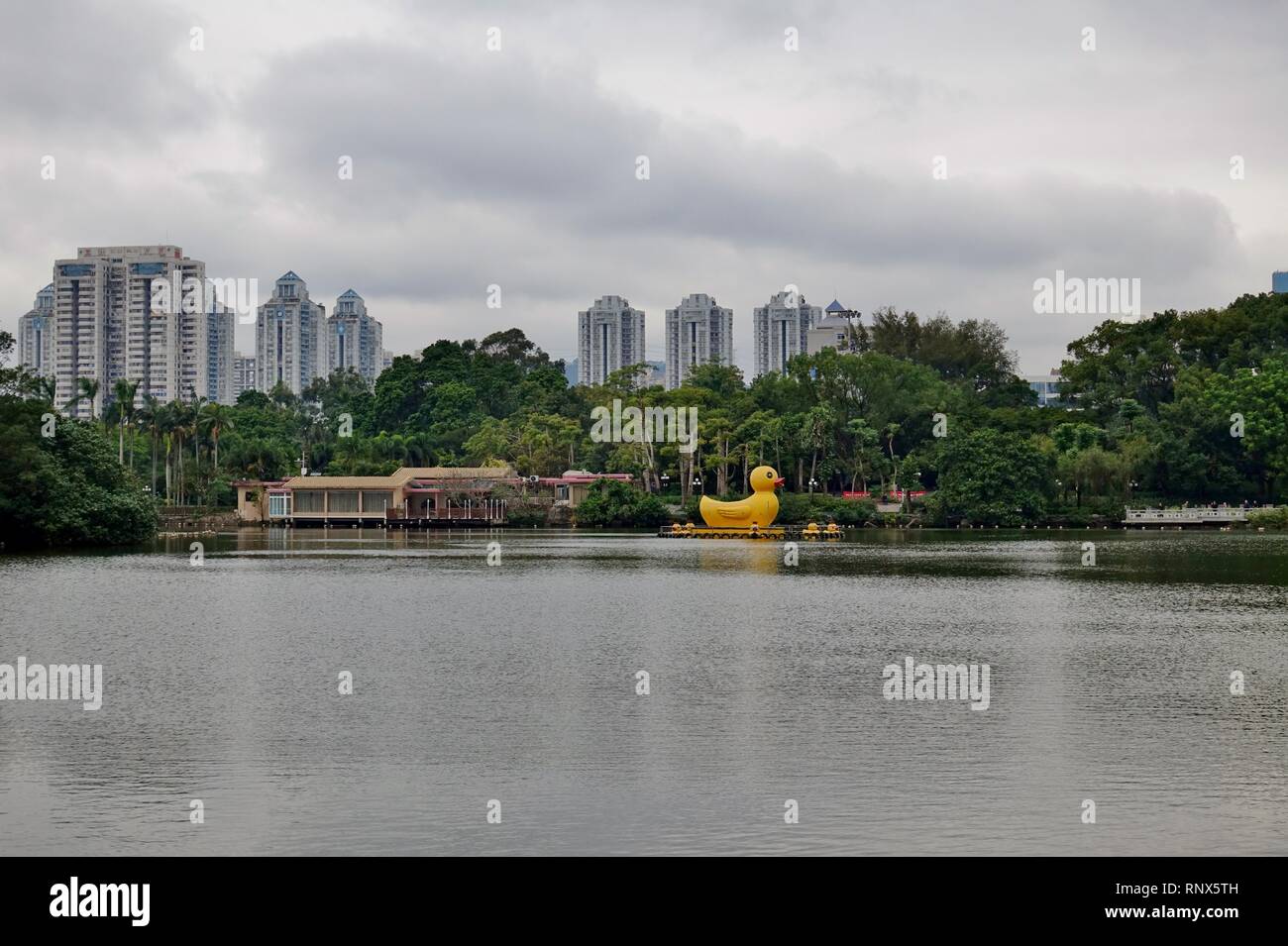 SHENZHEN, China-23 Dez 2018 - Blick auf riesige gelbe Ente Boote auf einem See in: Lizhi (Litschi, Litschi) Park in Shenzhen, Guangdong, China. Stockfoto