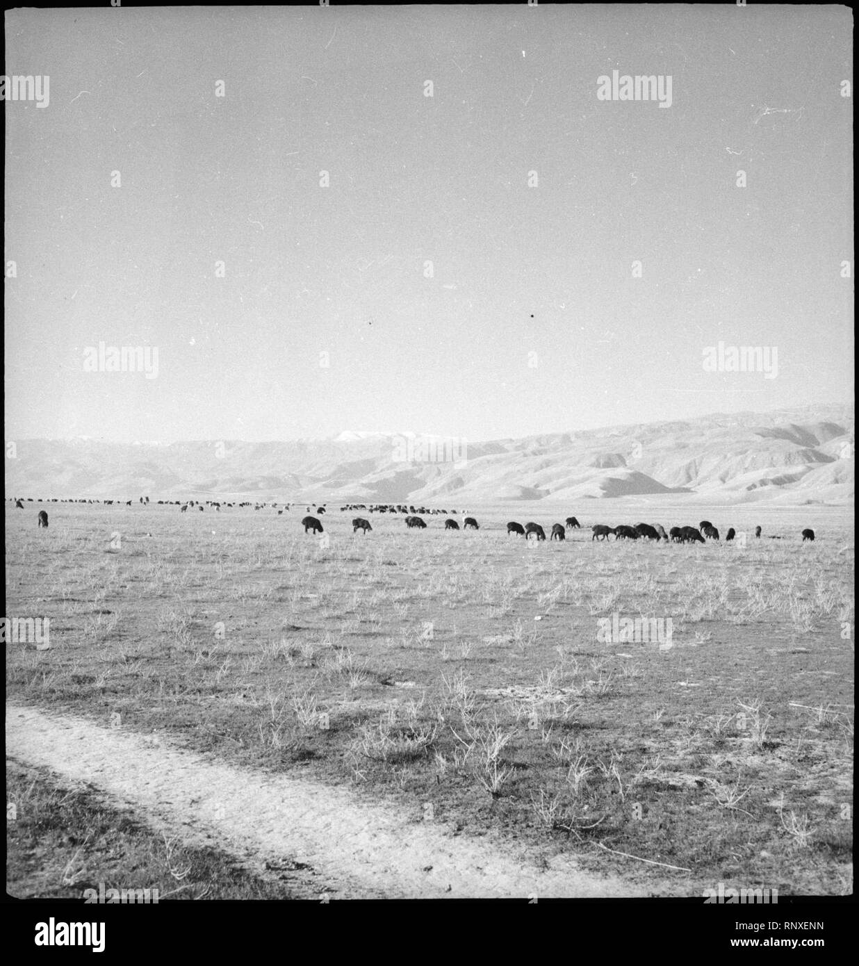 CH-NB - Afghanistan - Landschaft - Annemarie Schwarzenbach - SLA-Schwarzenbach-A -5-21-211. Stockfoto