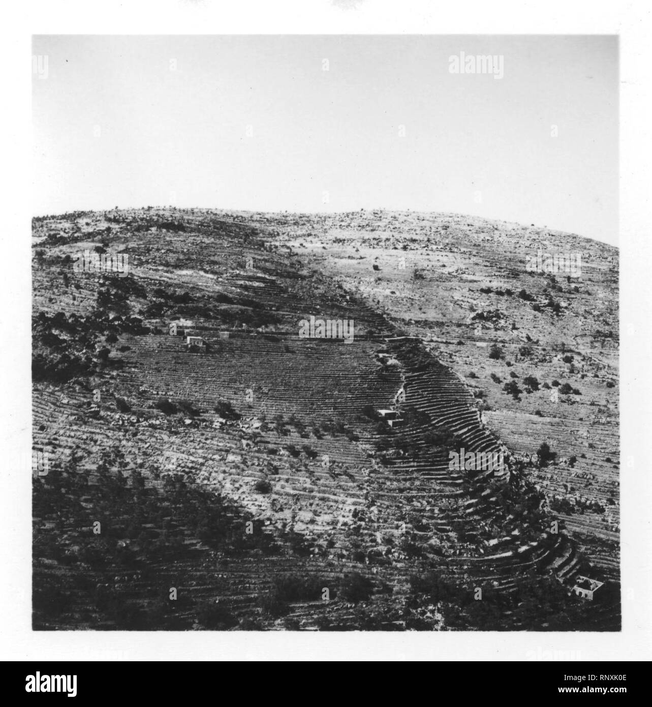 CH-NB-Libanon, beid-eddin (Beit ed-Din, Beiteddin) - Weinberg - Annemarie Schwarzenbach - SLA-Schwarzenbach-A -5-05-008. Stockfoto