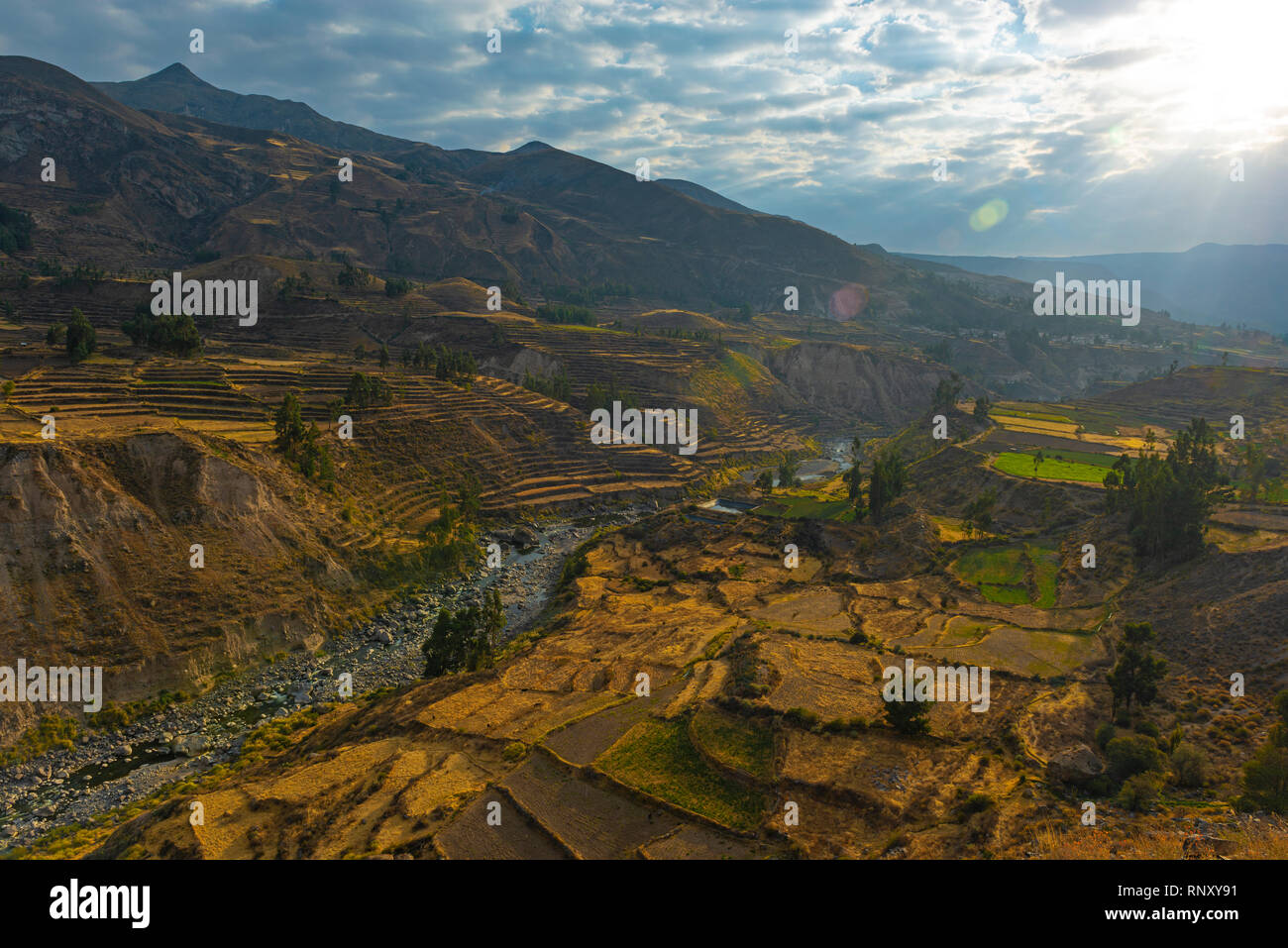 Landwirtschaft Felder entlang der Colca Canyon und den Fluss bei Sonnenaufgang in der Region Arequipa, Peru. Stockfoto