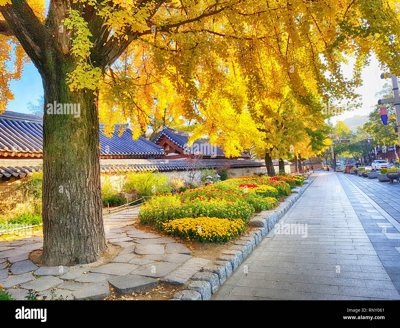 Straße von Jeonju Hanok Dorf Traditionelle koreanische Stadt Jeonju, Jeollabukdo, Südkorea, Asien Stockfoto