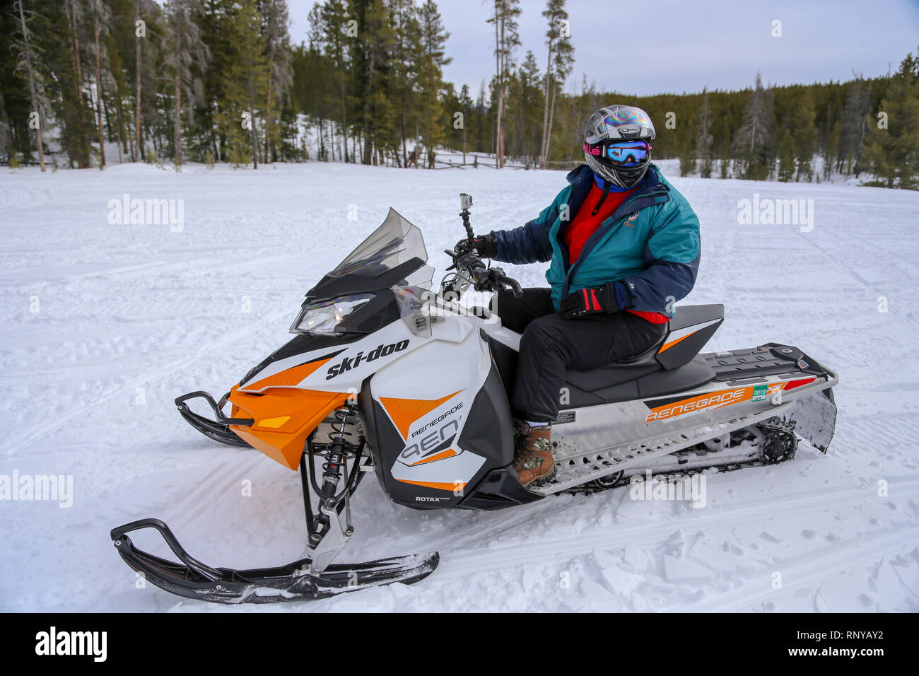 Mann Snowmobil fahren mit Helm und Schutzbrille auf Forstweg in Grand Lake Colorado Stockfoto