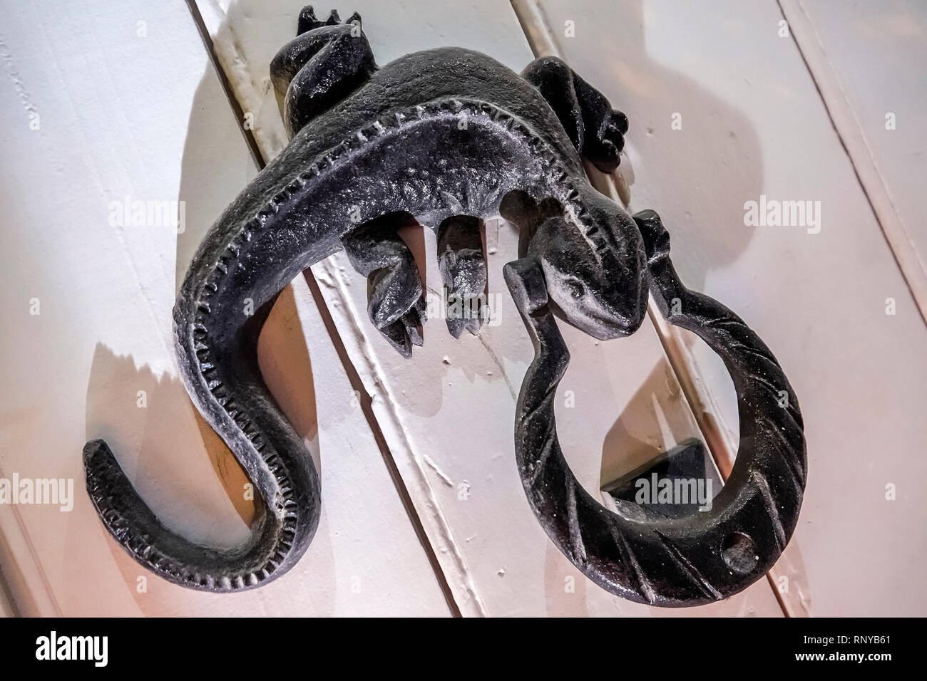 Cartagena Kolumbien, Zentrum, Zentrum, Getsemani, Türklopfer, Gecko-Eidechse, COL19018083 Stockfoto