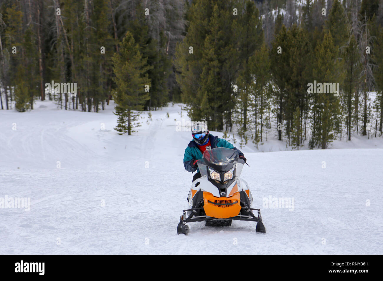 Mann Snowmobil fahren mit Helm und Schutzbrille auf Forstweg in Grand Lake Colorado Stockfoto