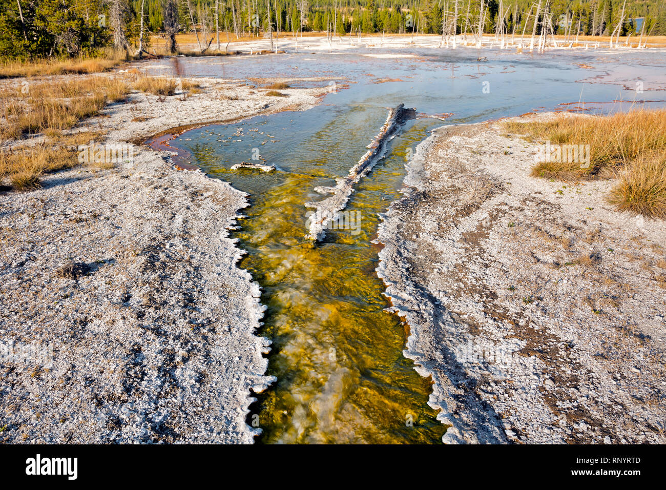 WYOMING - Bauchigen sinter Bremsbelag eine bunte Creek voll von Cyanobakterien in der rustikalen Gruppe von Herzen See Geyser Basin im Yellowstone backcountry. Stockfoto