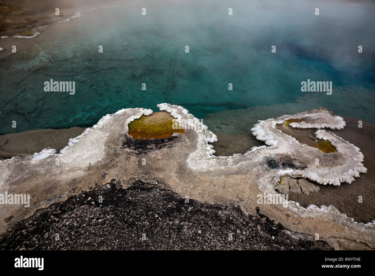 WY 03837-00 ... WYOMING - Bauchigen sinter Formationen um den Rand der Columbia Frühling im rustikalen Geyser Basin im Herzen See thermischen Bereich der Yellowsto Stockfoto