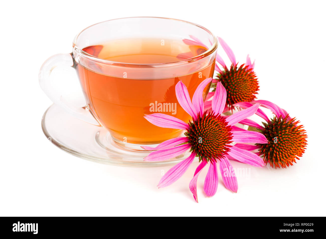 Echinacea Tee auf weißem Hintergrund. Arzneimittel Tee. Stockfoto