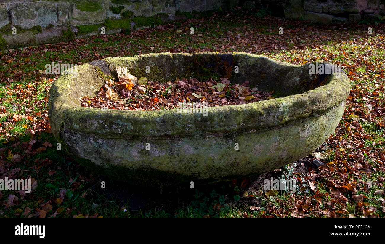 73145 ThŸringen Klosterruine Paulinzella Rest des Taufbeckens oder WeihwassergefŠ § es abgelegt neben dem SŸdturm Stockfoto