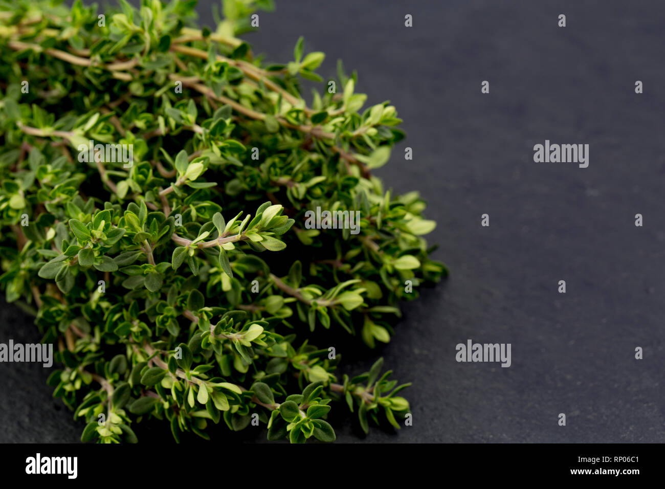 Ein Bündel frischer Zitrone Thymian aus Marokko importiert und in einem Supermarkt in Großbritannien gekauft. Auf einem dunklen Hintergrund fotografiert, Schiefer. Dorset England UK Stockfoto