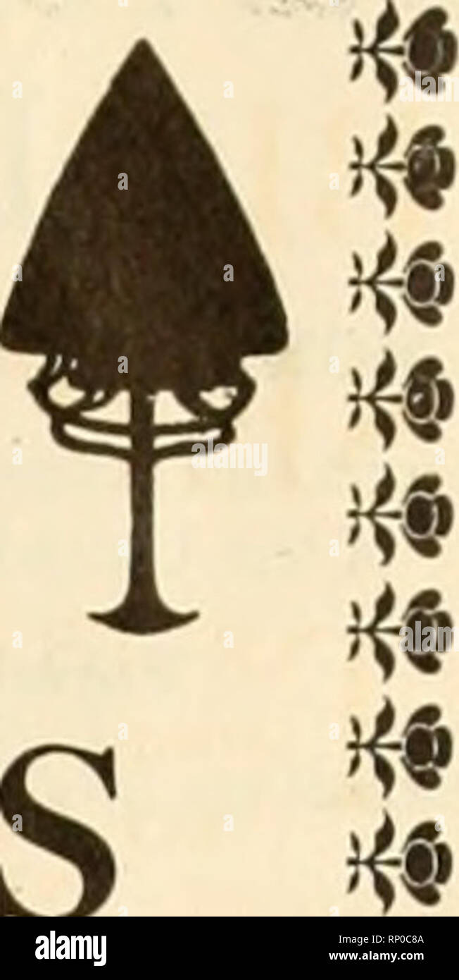 . Amerikanische Forstwirtschaft. Die Wälder und die Forstwirtschaft. Kanadische Abteilung 885 dent der Kanadischen Gesellschaft der Wald Ingenieure, wird Grand'bloßen Besuch in Kürze mit dem Sekretär der Gesellschaft, die sich auf Ihre künftige Tätigkeit übertragen. Das Automobil von der St. Maurice Wald Schutzgemeinschaft für eine seiner Förster erworben hat ein großer Erfolg erwiesen. British Columbia nimmt die Hon. W. R. Ross in-Formation aus dem Agent für British Columbia an die efifect, dass die Ladung von 160.000 inustriell Douglasie Beziehungen zu Indien, um die Reihenfolge der Ben geliefert - Gal&Amp erhalten hat; der Nordwestlichen Ry, letzte f Stockfoto