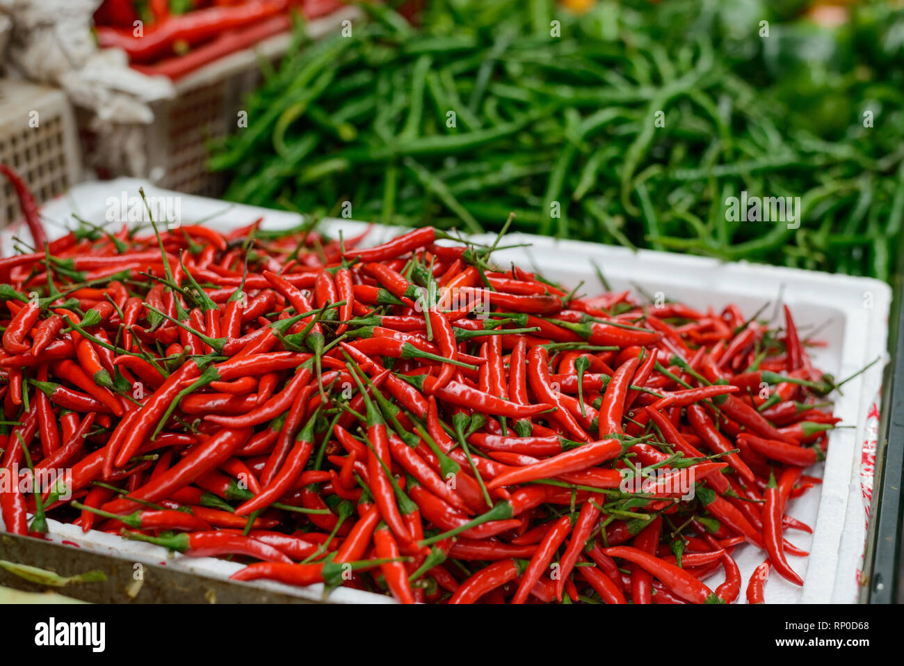 Haufen roter Chili Pfeffer Stockfoto