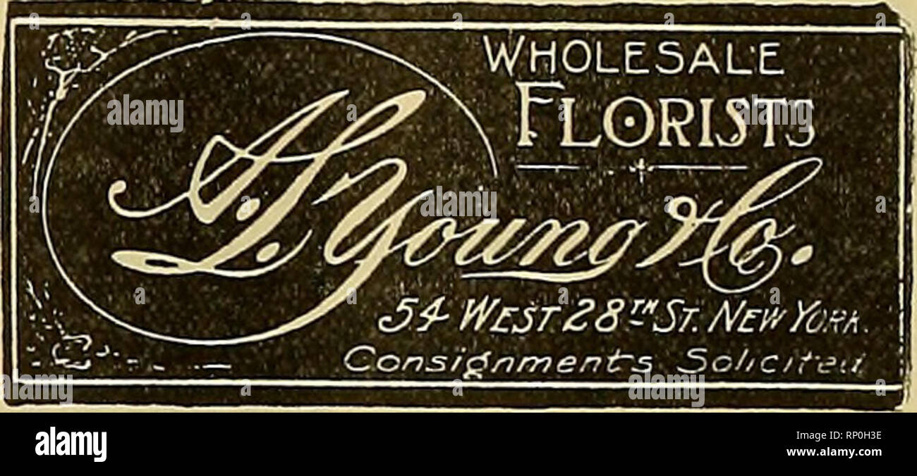 . Die amerikanische Florist: Eine wöchentliche Zeitschrift für den Handel. Blumenkultur ; Floristen. AV. L. DOYLE A. E. stand Doyle&amp; Stand Floristen Großhandel Watklns Consigiuneiits erbeten Telefon: 9408 121 West 28 Street, NEW YORK erwähnen die Amerikanische Florist wenn writinff J.J.COAN, Inc. wholesaijE florist Alles in Schnittblumen Telefone 641 S&amp; 5891 Watkins] LJ "r j 31 und 43 W. 18 St., WcW ich Ol K erwähnen die Amerikanische Florist wenn loritinfr Gold Buchstaben und Skripte, die besten und billigsten auf dem Markt. Schreiben Sie für Muster und Preise. J. in der lichtenberger 1560 Avenue A, NEW YORK CITY erwähnen die Amerikanische Flor Stockfoto