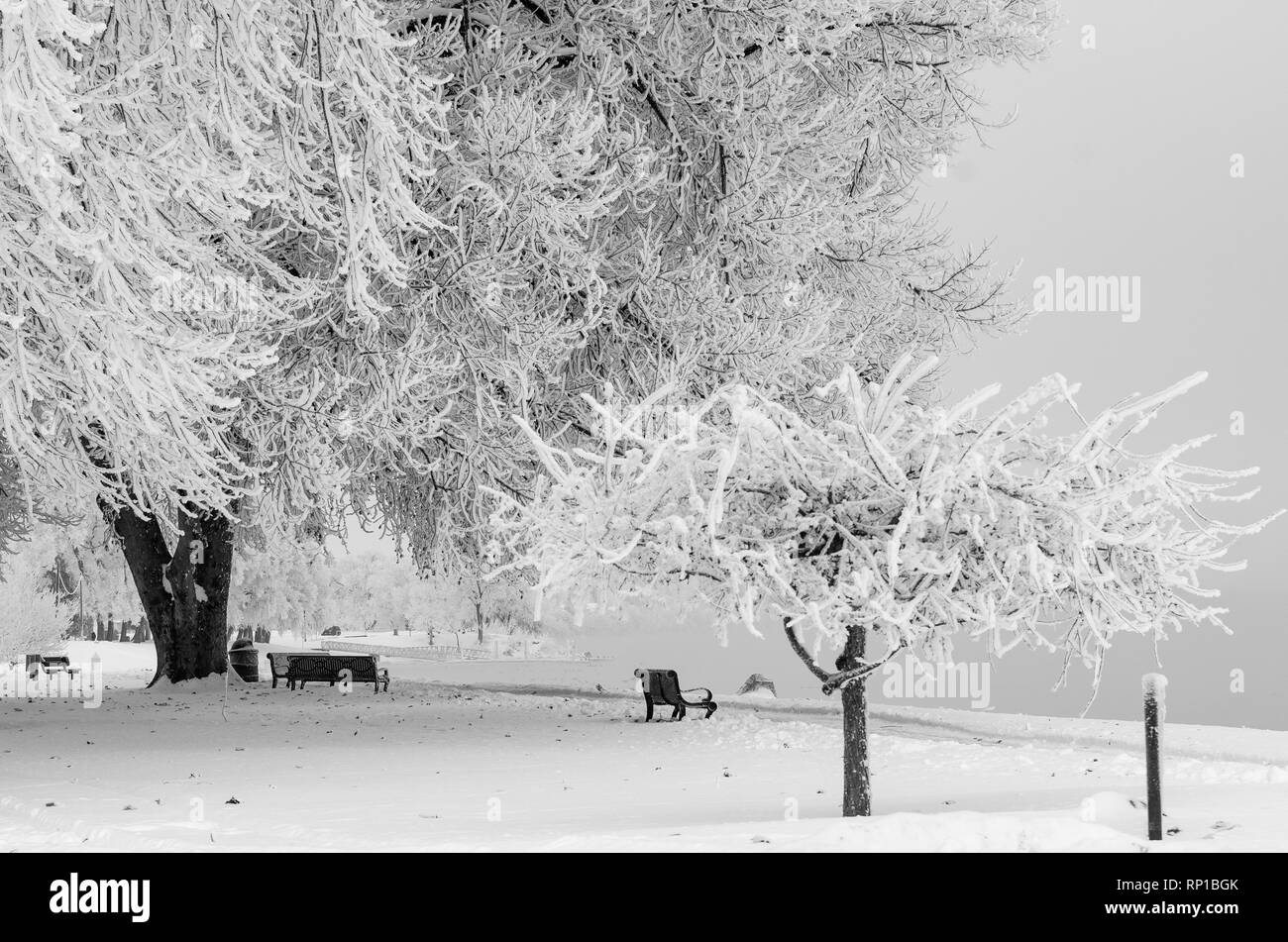 Howard Amon Park in Richland, WA. Nach einem Schnee und Regen Sturm. Stockfoto