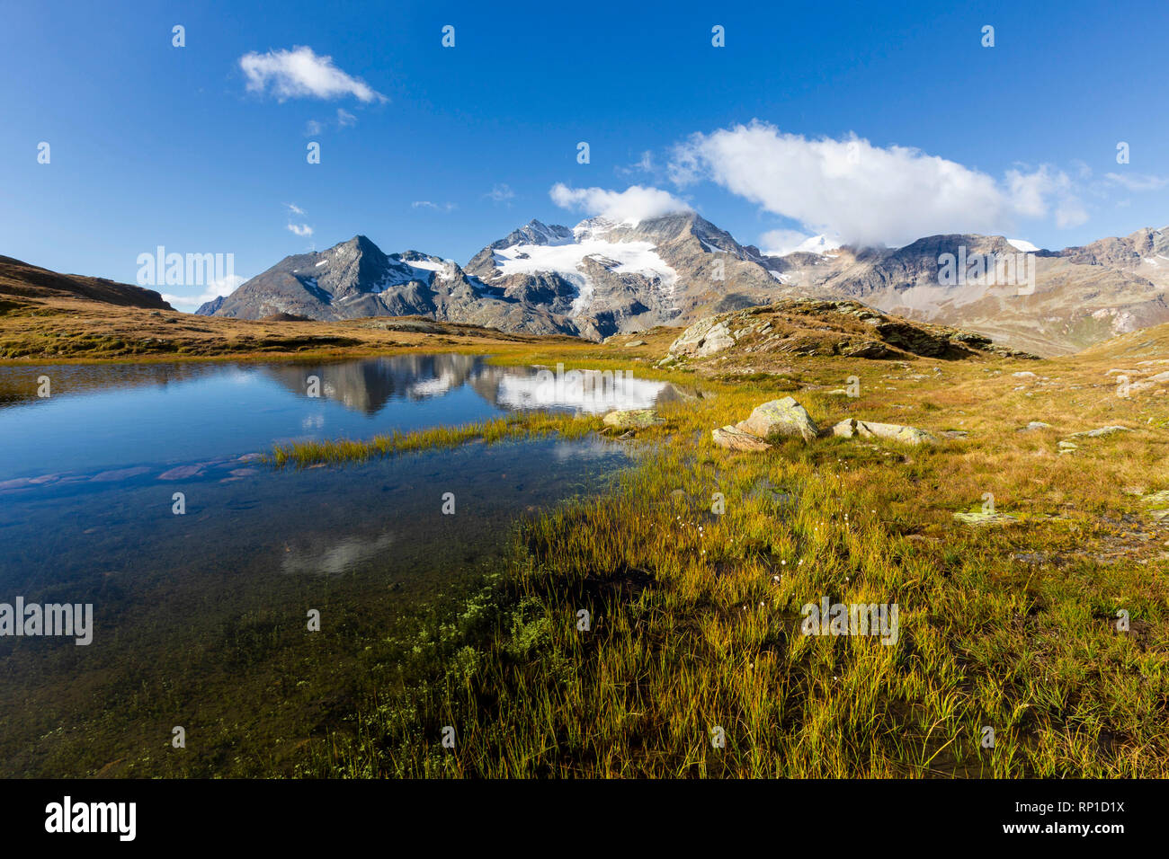 Piz Cambrena gespiegelt in der alpinen See, Val Dal Bugliet, Berninapass, Kanton Graubünden, Engadin, Schweiz Stockfoto